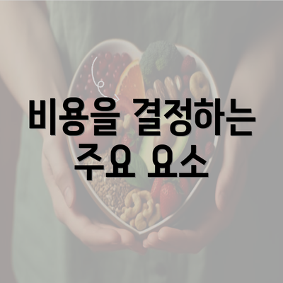 비용을 결정하는 주요 요소