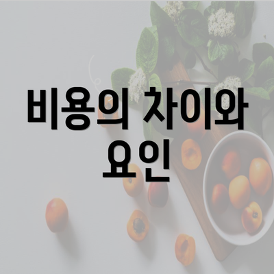 비용의 차이와 요인