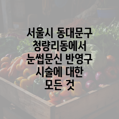 서울시 동대문구 청량리동에서 눈썹문신 반영구 시술에 대한 모든 것