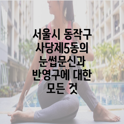 서울시 동작구 사당제5동의 눈썹문신과 반영구에 대한 모든 것