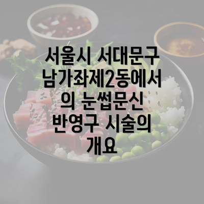 서울시 서대문구 남가좌제2동에서의 눈썹문신 반영구 시술의 개요