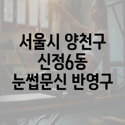 서울시 양천구 신정6동 눈썹문신 반영구