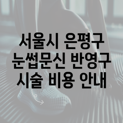 서울시 은평구 눈썹문신 반영구 시술 비용 안내