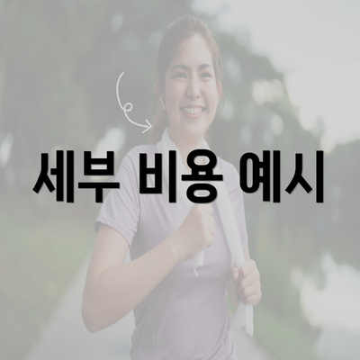 세부 비용 예시