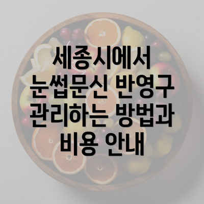 세종시에서 눈썹문신 반영구 관리하는 방법과 비용 안내