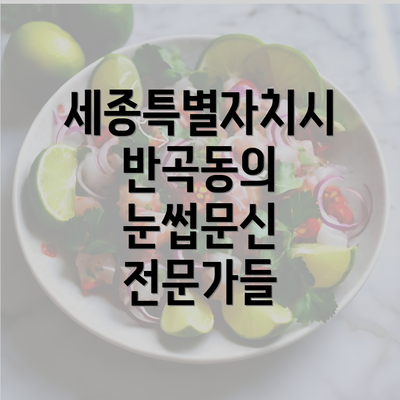 세종특별자치시 반곡동의 눈썹문신 전문가들