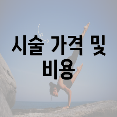 시술 가격 및 비용