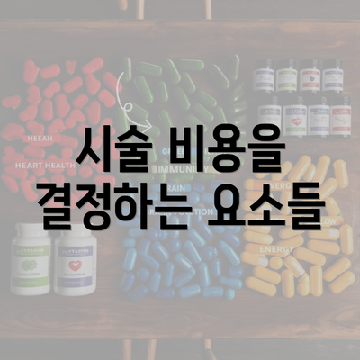 시술 비용을 결정하는 요소들