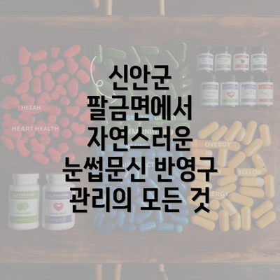 신안군 팔금면에서 자연스러운 눈썹문신 반영구 관리의 모든 것