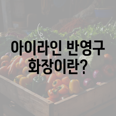 아이라인 반영구 화장이란?