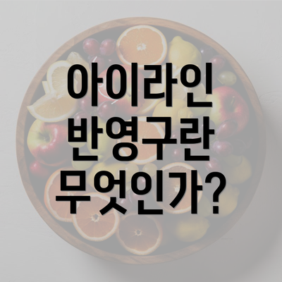 아이라인 반영구란 무엇인가?