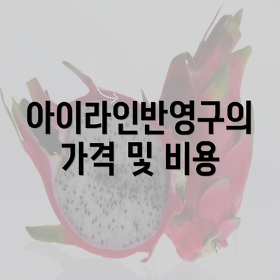 아이라인반영구의 가격 및 비용