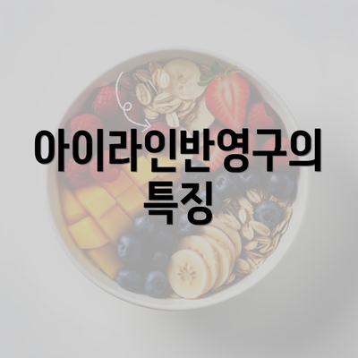 아이라인반영구의 특징