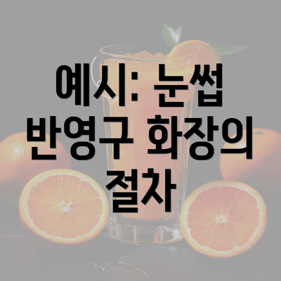 예시: 눈썹 반영구 화장의 절차