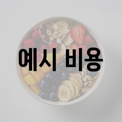 예시 비용