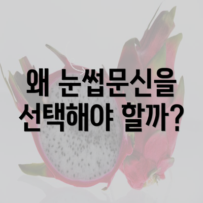 왜 눈썹문신을 선택해야 할까?