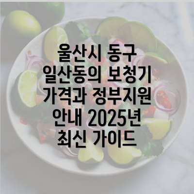 울산시 동구 일산동의 보청기 가격과 정부지원 안내 2025년 최신 가이드