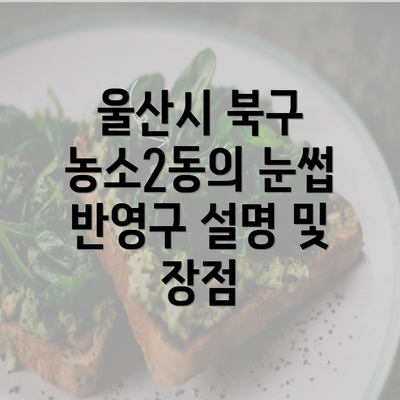 울산시 북구 농소2동의 눈썹 반영구 설명 및 장점