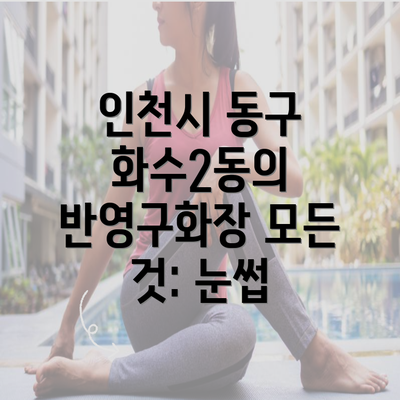 인천시 동구 화수2동의 반영구화장 모든 것: 눈썹