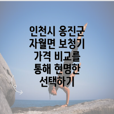 인천시 옹진군 자월면 보청기 가격 비교를 통해 현명한 선택하기