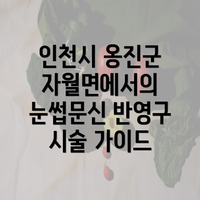 인천시 옹진군 자월면에서의 눈썹문신 반영구 시술 가이드