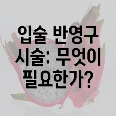 입술 반영구 시술: 무엇이 필요한가?