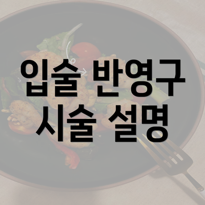 입술 반영구 시술 설명