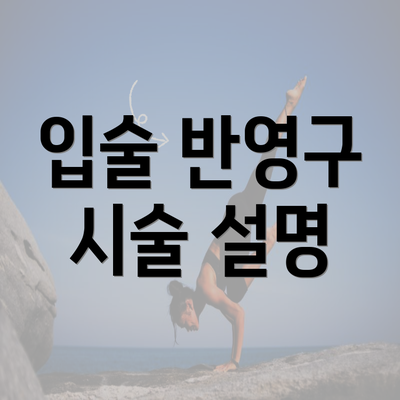 입술 반영구 시술 설명