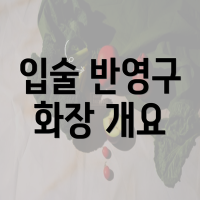 입술 반영구 화장 개요