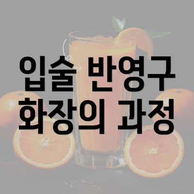 입술 반영구 화장의 과정