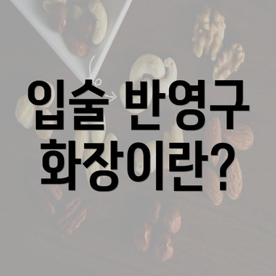 입술 반영구 화장이란?