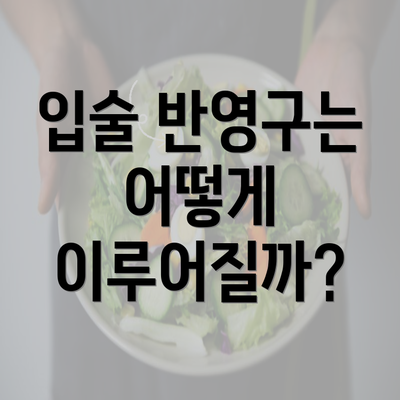 입술 반영구는 어떻게 이루어질까?