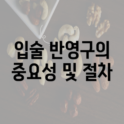 입술 반영구의 중요성 및 절차