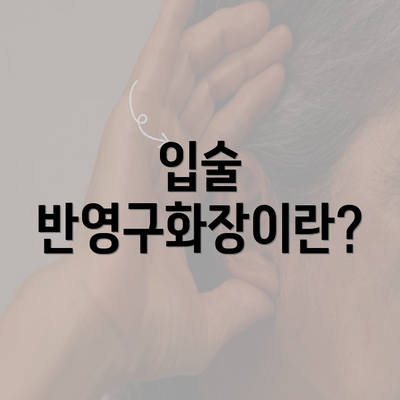 입술 반영구화장이란?