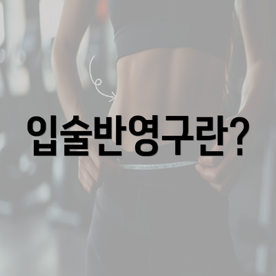 입술반영구란?