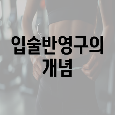 입술반영구의 개념