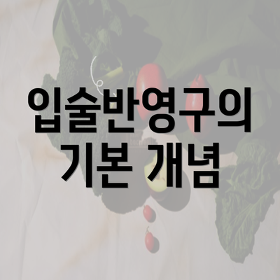 입술반영구의 기본 개념