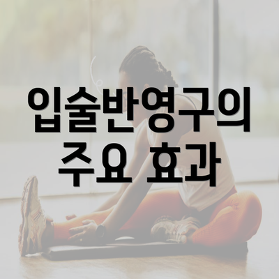 입술반영구의 주요 효과