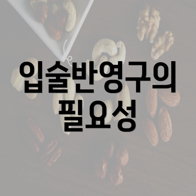 입술반영구의 필요성