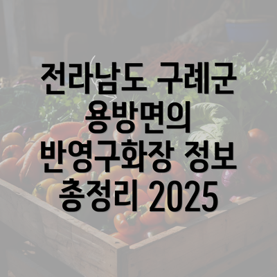 전라남도 구례군 용방면의 반영구화장 정보 총정리 2025