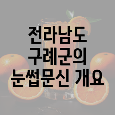 전라남도 구례군의 눈썹문신 개요