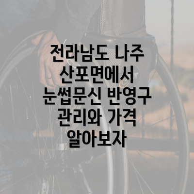 전라남도 나주 산포면에서 눈썹문신 반영구 관리와 가격 알아보자