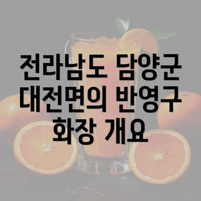 전라남도 담양군 대전면의 반영구 화장 개요