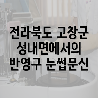 전라북도 고창군 성내면에서의 반영구 눈썹문신