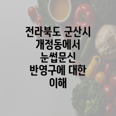 전라북도 군산시 개정동에서 눈썹문신 반영구에 대한 이해