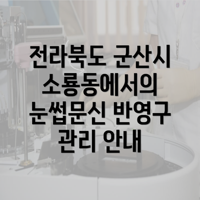 전라북도 군산시 소룡동에서의 눈썹문신 반영구 관리 안내