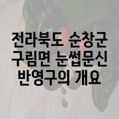 전라북도 순창군 구림면 눈썹문신 반영구의 개요