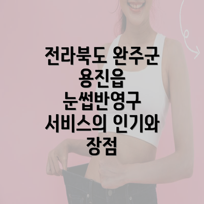 전라북도 완주군 용진읍 눈썹반영구 서비스의 인기와 장점