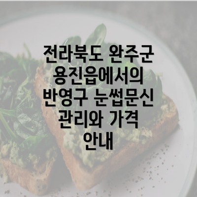 전라북도 완주군 용진읍에서의 반영구 눈썹문신 관리와 가격 안내