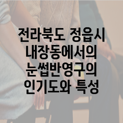 전라북도 정읍시 내장동에서의 눈썹반영구의 인기도와 특성